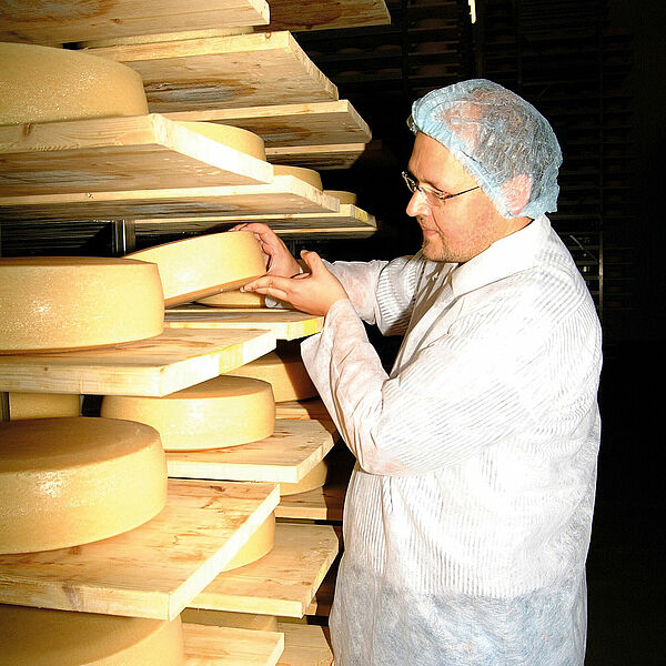  In front of a shelf, which consists of many individual boards, lie large wheels of cheese. A man wearing a white protective coat and a blue protective hood is standing in front of the shelf. He lifts one of the cheese loaves slightly with both hands.