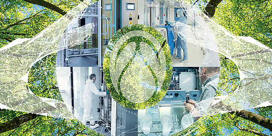 A photo of a laboratory edited with trees to be all around signifying natural in the lab