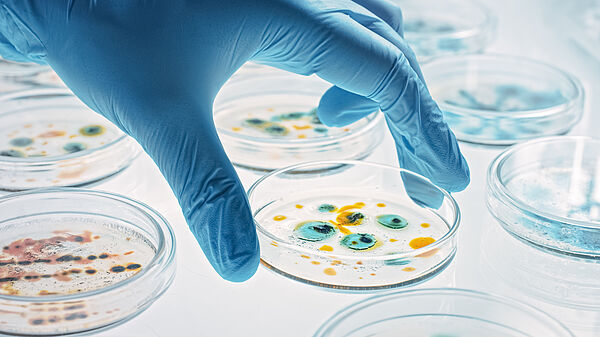 A photo of a gloved hand carrying microbiology samples
