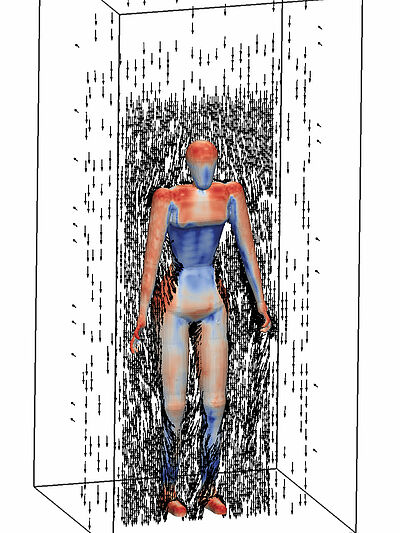 Zeichnung eines stehenden Quaders, in dem eine Person gezeichnet ist. Sie hält die beiden Arme seitlich zum Körper nach unten. Kopf, Schultern, Brust, Arme, Oberschenkel und Füße sind rot. Bauch, Innenseiten und Unterschenkel sind blau. Von oben gehen ganz viele kleine schwarze Pfeile zu Boden.